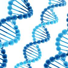 Struttura a doppia elica del DNA