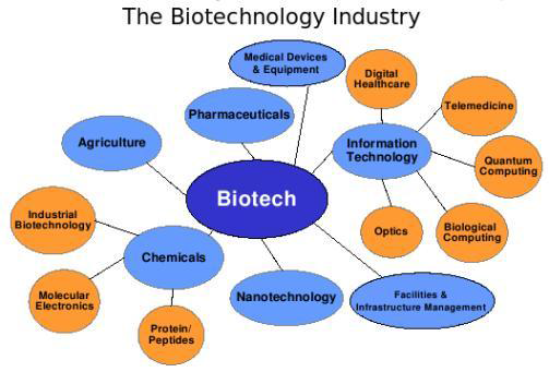 Uno schema che mostra l’industria biotech e le sue ramificazioni applicative